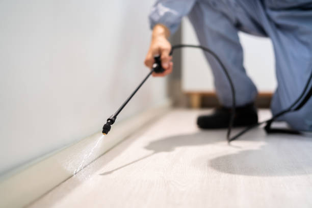 Licensed Termite Control service in Mullens, WV - Nex Pest Control