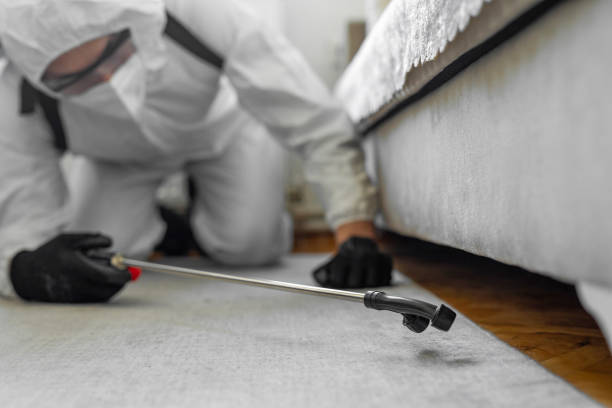Professional Termite Control technician working in Mullens, WV