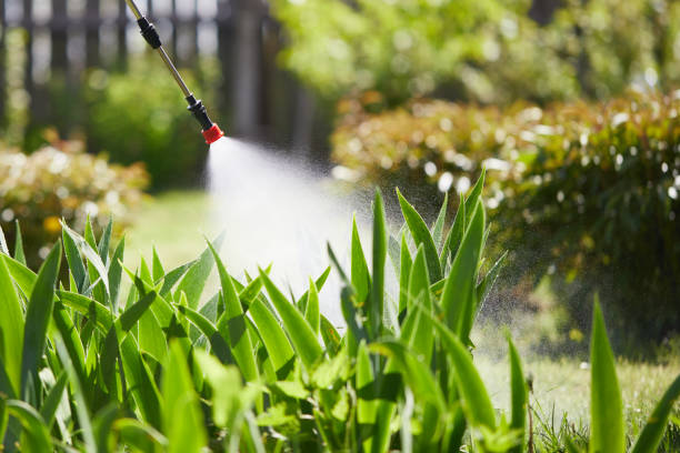 24/7 Emergency Termite Control experts in Mullens, WV