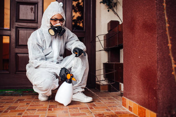 Reliable Termite Control contractor in Mullens, WV by Nex Pest Control