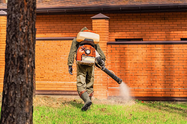 Top rated local Termite Control specialists in Mullens, WV